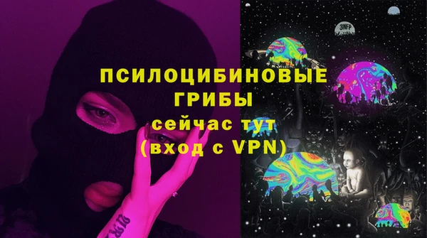 ешки Богородицк